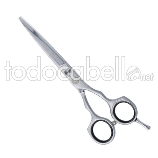 SCISSORS 6'0 EVOLUTE LINE