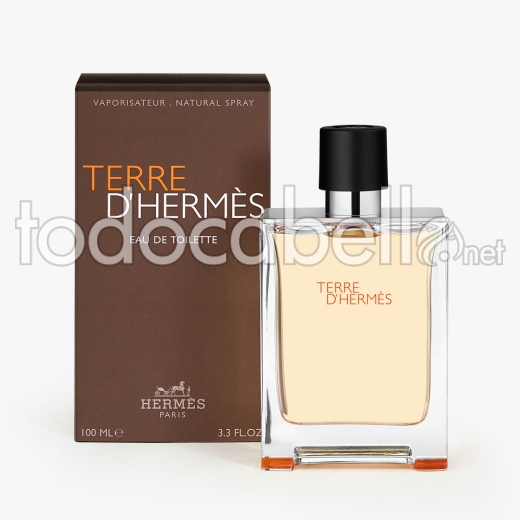 Hermès Terre D'hermès Edt Vaporizador 100 Ml