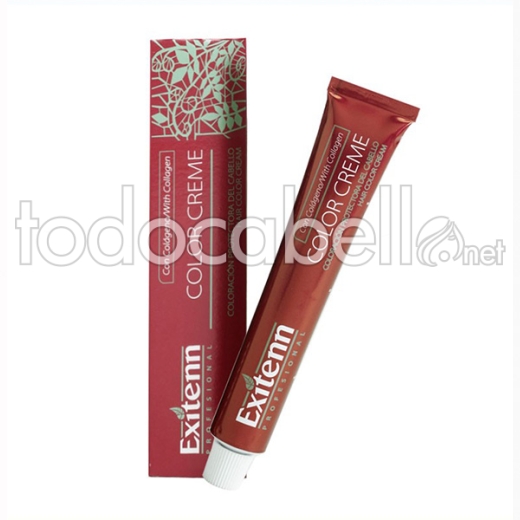 Exitenn Tinte Color Creme 11/0 07