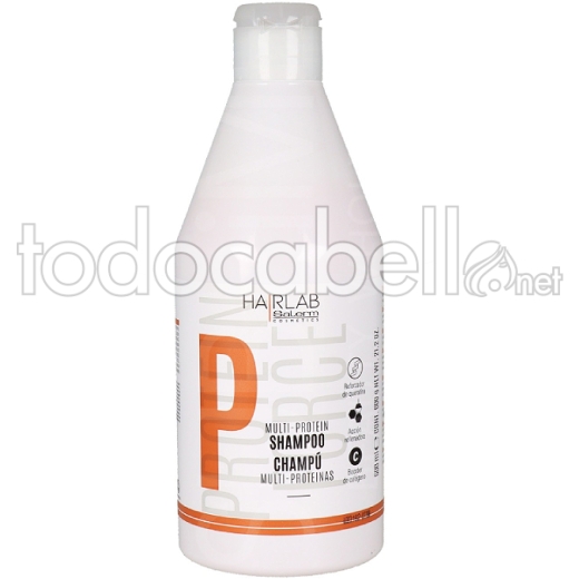 Salerm Protein Shampoo 600ml