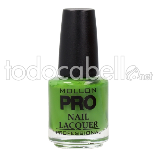 Mollon Pro Hardening Nail Lacquer 15 Ml 191