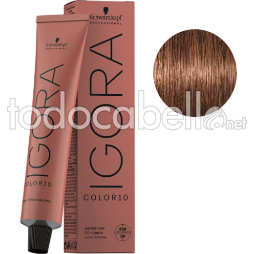 Schwarzkopf Tinte Igora Color10 Rubio Oscuro Marrón Dorado