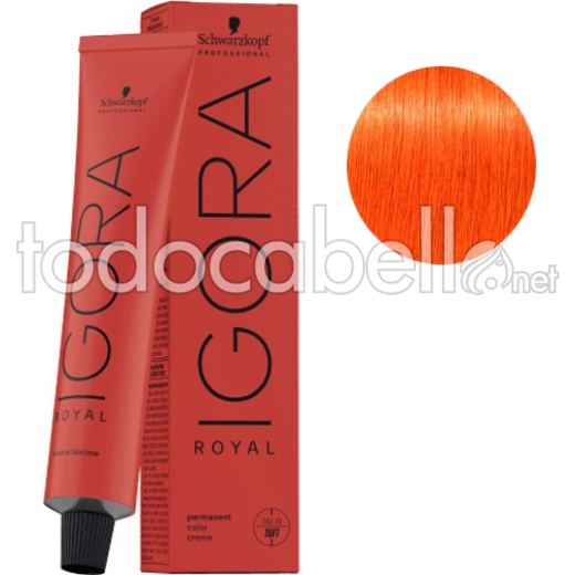 Schwarzkopf Tinte Igora Royal Cobrizo