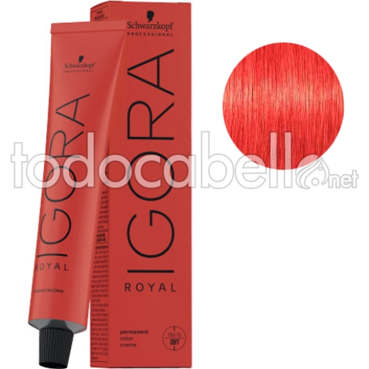 Schwarzkopf Tinte Igora Royal  Tono Mezcla Rojo