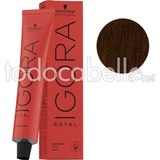 Schwarzkopf Igora Royal 6-12 Dark Ash Chocolate Blonde + Oxygenated  Kosswell