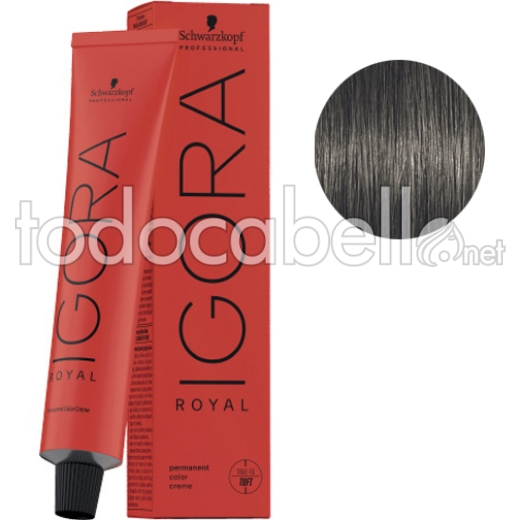 Schwarzkopf Tinte Igora Royal 6-23 Rubio Oscuro Humo Mate 60g + Oxigenada en promoción