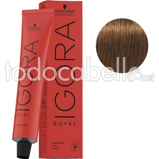 Schwarzkopf Tinte Igora Royal Rubio Oscuro Beige