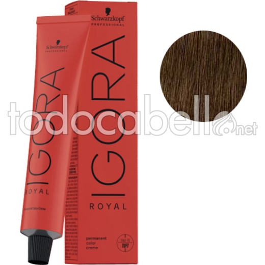 Schwarzkopf Dye Igora Royal 6-46 Dark Blonde Beige Chocolate 60ml