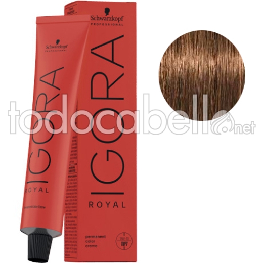 Schwarzkopf Igora Royal 6-5 Golden Dark Blonde+ Oxygenated Kosswell