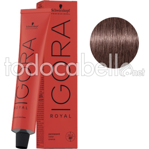 Schwarzkopf Tint Igora Royal 7-48 Medium Blonde red+ Oxygenated