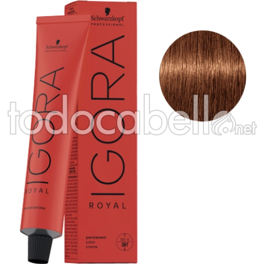 Schwarzkopf Tint Igora Royal 7-76 Medium Blonde Copper Brown + Oxygenated