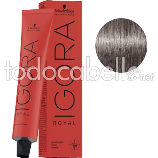 Schwarzkopf Tint Igora Royal 8-11 Light Blonde Smoke Ash + Oxygenated Kosswell