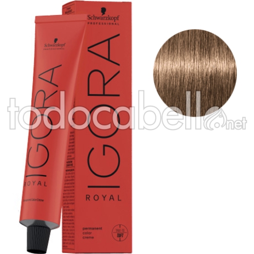 Schwarzkopf Dye Igora Royal 8-46 Light Blonde Beige Chocolate 60ml