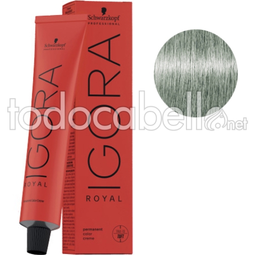 Schwarzkopf Tint Igora Royal 9.5-31 Mint Pastel Toner + Oxygenated