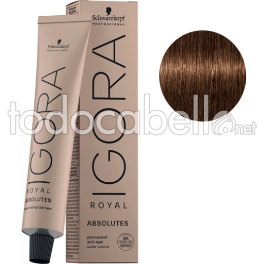 Schwarzkopf Tinte Igora Abolutes Age Blend Rubio Oscuro Beige Chocolate