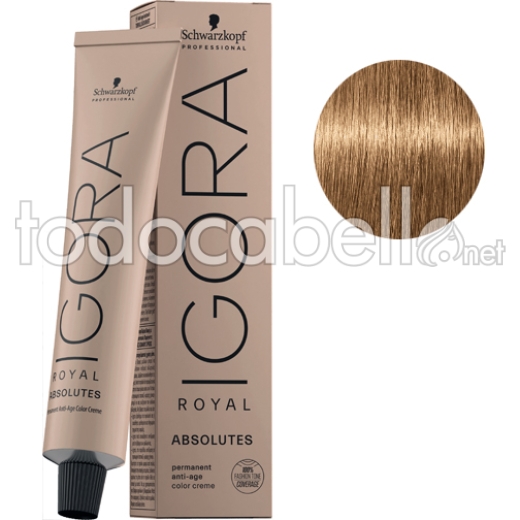 Schwarzkopf Tinte Igora Royal Absolutes Rubio Claro Dorado Natural