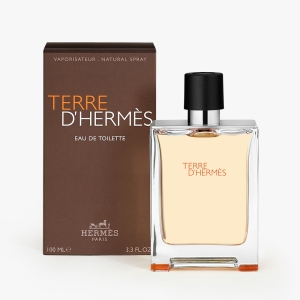 Hermès Terre D'hermès Edt Vaporizador 100 Ml