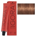 Schwarzkopf PACK 12 TINTES Igora Royal 7-57 Medium Medium Gold + Oxigenada Kosswell 2