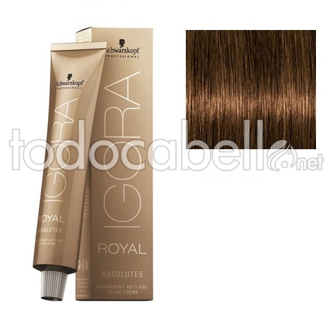 Schwarzkopf Igora Royal Absolutes 6 50 Golden Blonde Dark Natural 60ml