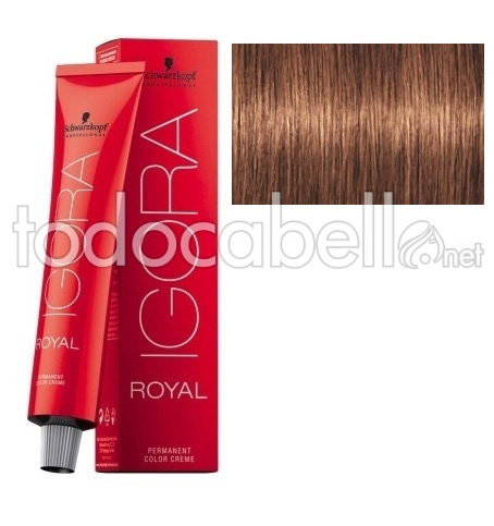 Schwarzkopf Tint Igora Royal Blonde Medium Gold Cobrizo 7 57